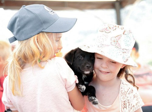 AWDRI Adoption Fee